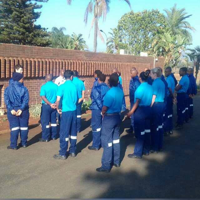 23231436_857839191047065_2651190751608450491_n